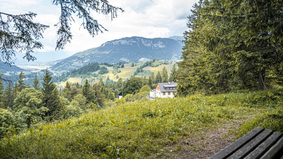 Wanderung Brandangerkogel-Runde ab Dachsteinblick - Touren-Impression #2.10 | © Erlebnisregion Schladming-Dachstein