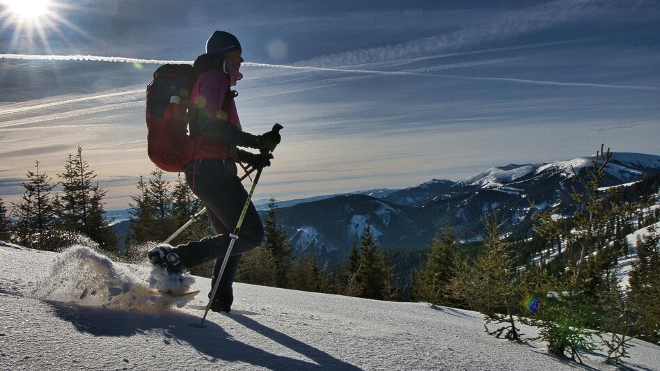 Winter Hiking Fensteralm, 1642 m - Touren-Impression #2.1 | © Weges OG
