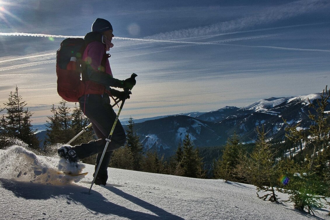 Winter Hiking Fensteralm, 1642 m - Touren-Impression #1 | © Weges OG