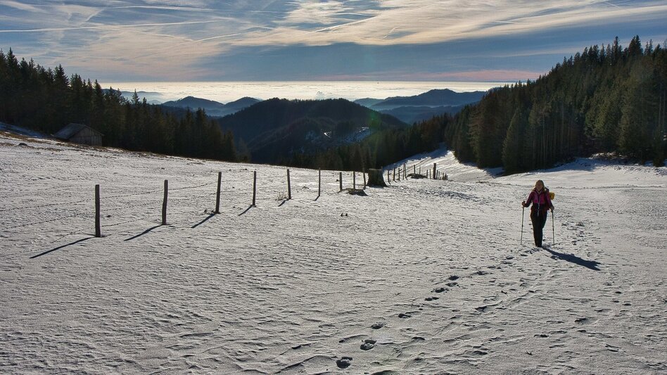 Winter Hiking Fensteralm, 1642 m - Touren-Impression #2.2 | © Weges OG