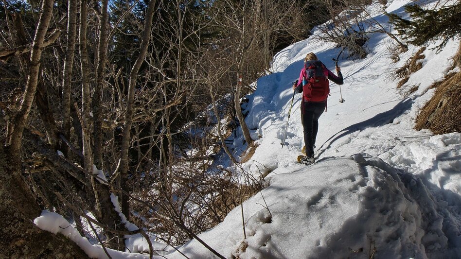 Winter Hiking Fensteralm, 1642 m - Touren-Impression #2.4 | © Weges OG