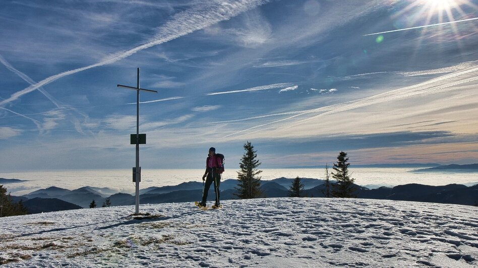 Winter Hiking Fensteralm, 1642 m - Touren-Impression #2.6 | © Weges OG