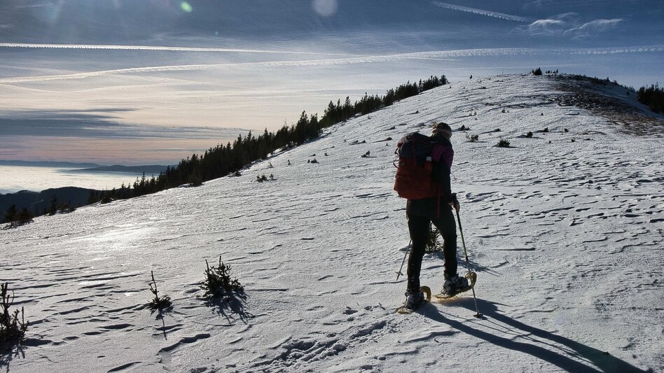 Winter Hiking Fensteralm, 1642 m - Touren-Impression #2.8 | © Weges OG