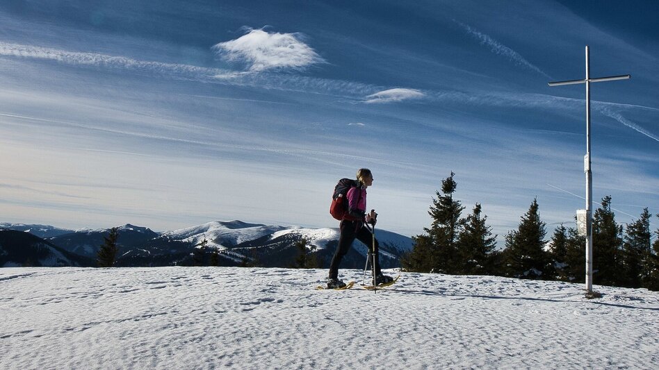 Winter Hiking Fensteralm, 1642 m - Touren-Impression #2.9 | © Weges OG