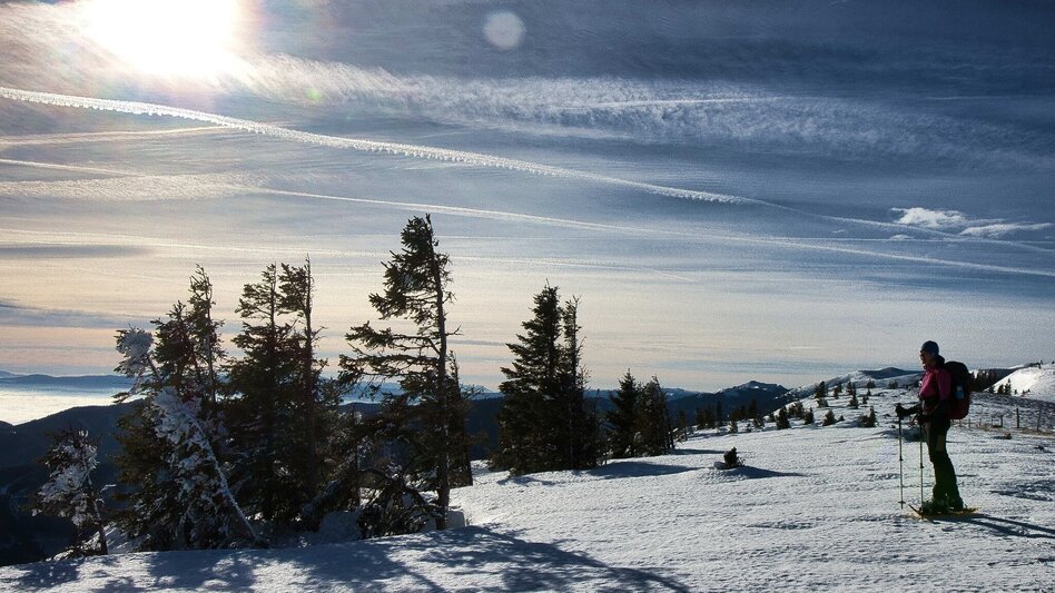 Winter Hiking Fensteralm, 1642 m - Touren-Impression #2.11 | © Region Graz