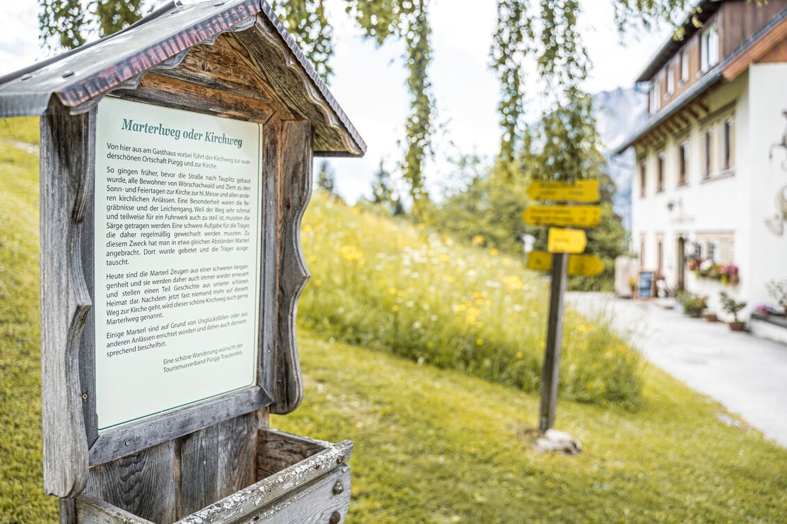 Wanderung Dachsteinblick-Runde ab Lessern - Touren-Impression #1 | © Erlebnisregion Schladming-Dachstein