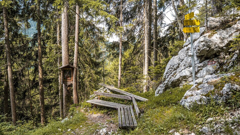 Wanderung Dachsteinblick-Runde ab Lessern - Touren-Impression #2.3 | © Erlebnisregion Schladming-Dachstein