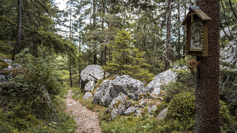Wanderung Dachsteinblick-Runde ab Lessern - Touren-Impression #2.4 | © Erlebnisregion Schladming-Dachstein