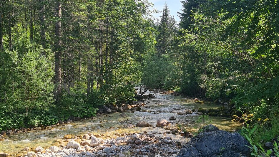 Hiking route Gnanitztal hike to the huts at Gnanitz alp - Touren-Impression #2.2 | © Erlebnisregion Schladming-Dachstein