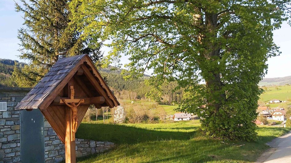 Radfahren Kraftplätze-Runde, Passail - Touren-Impression #2.6 | © Oststeiermark Tourismus