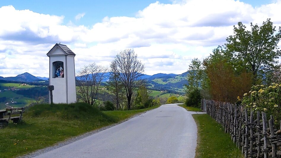 Radfahren Kraftplätze-Runde, Passail - Touren-Impression #2.13 | © Oststeiermark Tourismus