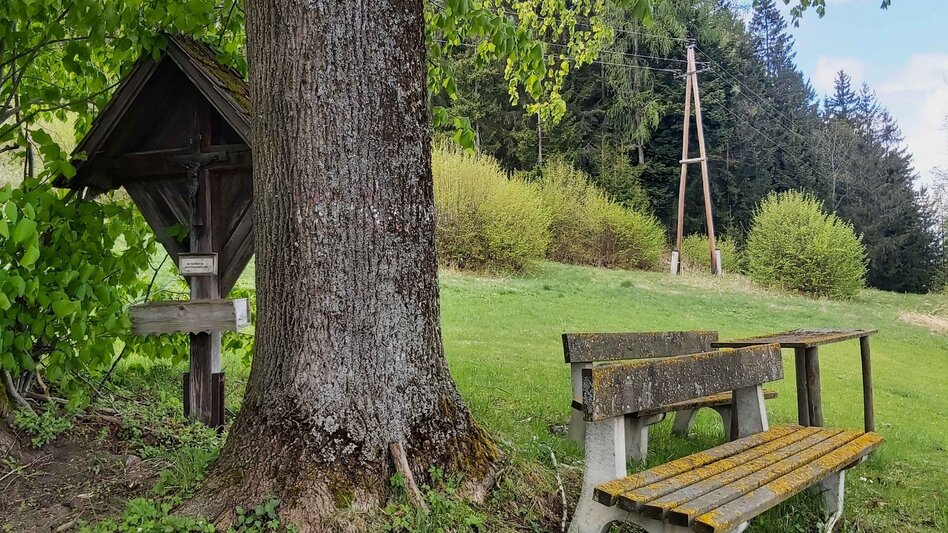 Radfahren Kraftplätze-Runde, Passail - Touren-Impression #2.20 | © Oststeiermark Tourismus
