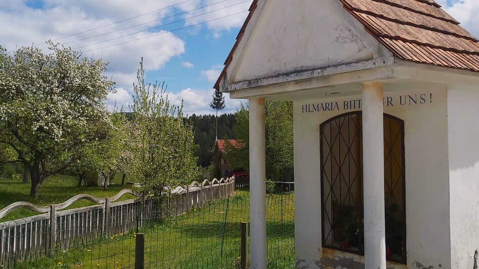 Radfahren Kraftplätze-Runde, Passail - Touren-Impression #2.22 | © Oststeiermark Tourismus