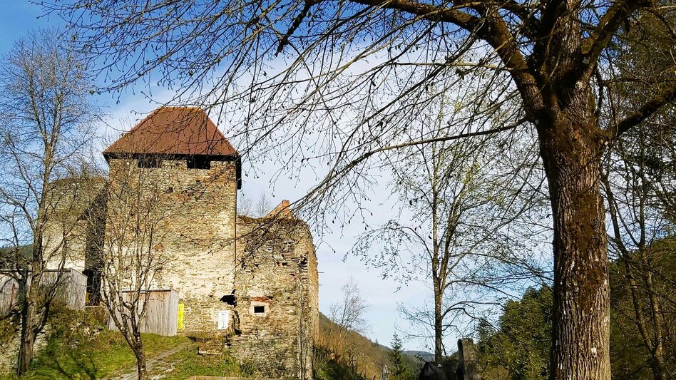 Radfahren Passail-Weiz-Radtour, Passail - Touren-Impression #2.4 | © Oststeiermark Tourismus