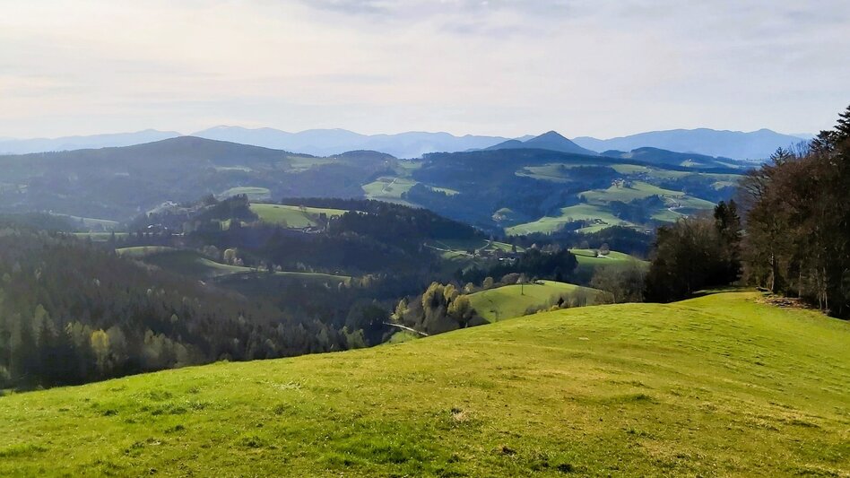 Radfahren Passail-Weiz-Radtour, Passail - Touren-Impression #2.6 | © Oststeiermark Tourismus
