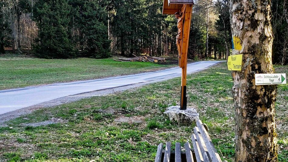Radfahren Passail-Weiz-Radtour, Passail - Touren-Impression #2.7 | © Oststeiermark Tourismus