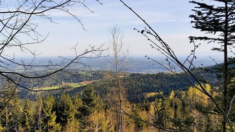 Radfahren Passail-Weiz-Radtour, Passail - Touren-Impression #2.8 | © Oststeiermark Tourismus