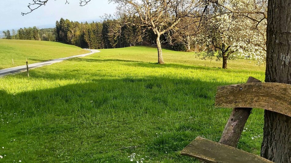 Radfahren Passail-Weiz-Radtour, Passail - Touren-Impression #2.11 | © Oststeiermark Tourismus