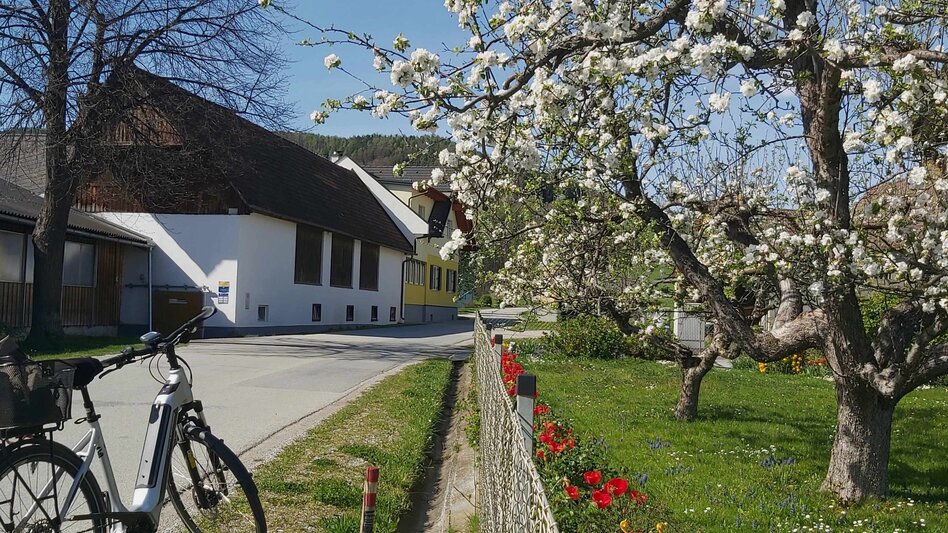 Radfahren Passail-Weiz-Radtour, Passail - Touren-Impression #2.14 | © Oststeiermark Tourismus