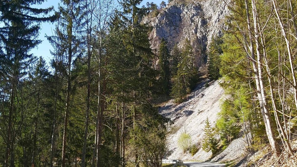 Radfahren Passail-Weiz-Radtour, Passail - Touren-Impression #2.15 | © Oststeiermark Tourismus