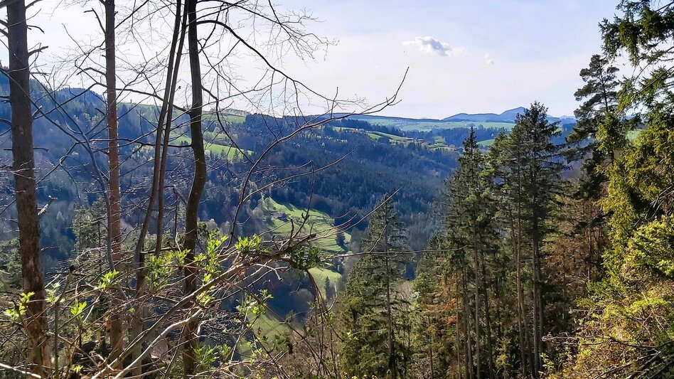 Radfahren Passail-Weiz-Radtour, Passail - Touren-Impression #2.16 | © Oststeiermark Tourismus