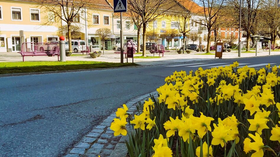 Radfahren Passail-Weiz-Radtour, Passail - Touren-Impression #2.17 | © Oststeiermark Tourismus