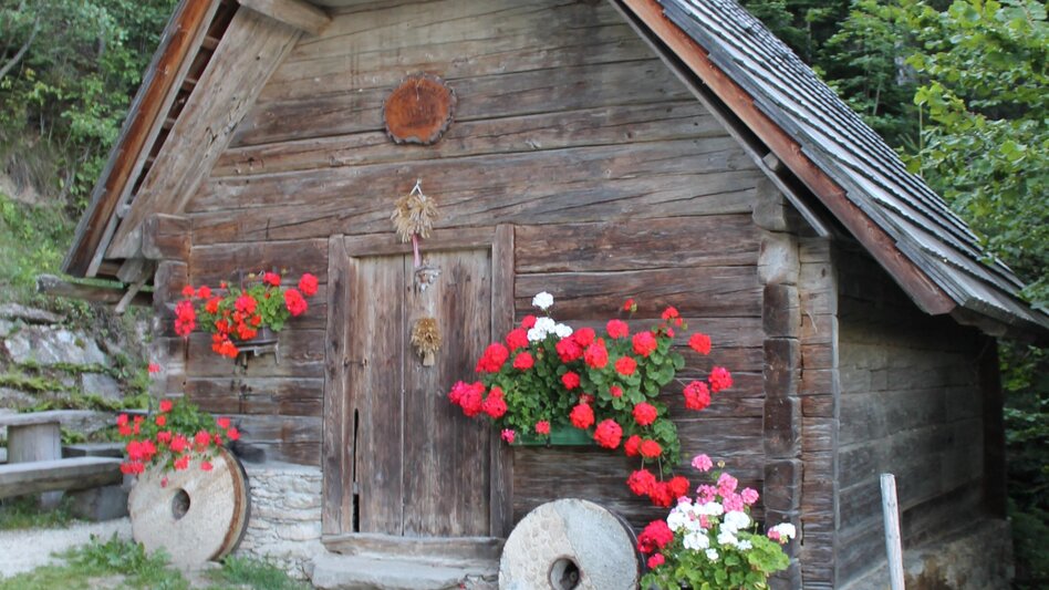 Wanderung St. Jakober-Runde, Ratten - Touren-Impression #2.4 | © Tourismusverband Oststeiermark