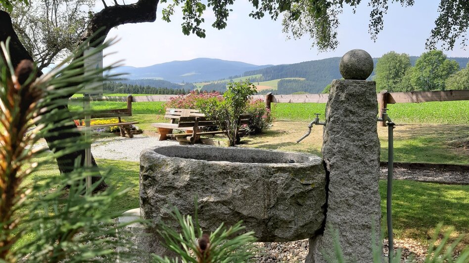 Wanderung St. Jakober-Runde, Ratten - Touren-Impression #2.6 | © Gemeinde St. Jakob im Walde