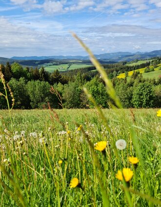 Aussicht am Weg_St. Jakob_Oststeiermak | Kandlbauer | © Oststeiermarkt Tourismus