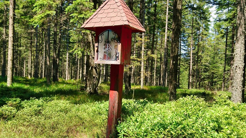 Hiking route Alpl round, St. Kathrein am Hauenstein - Touren-Impression #2.1 | © WEGES