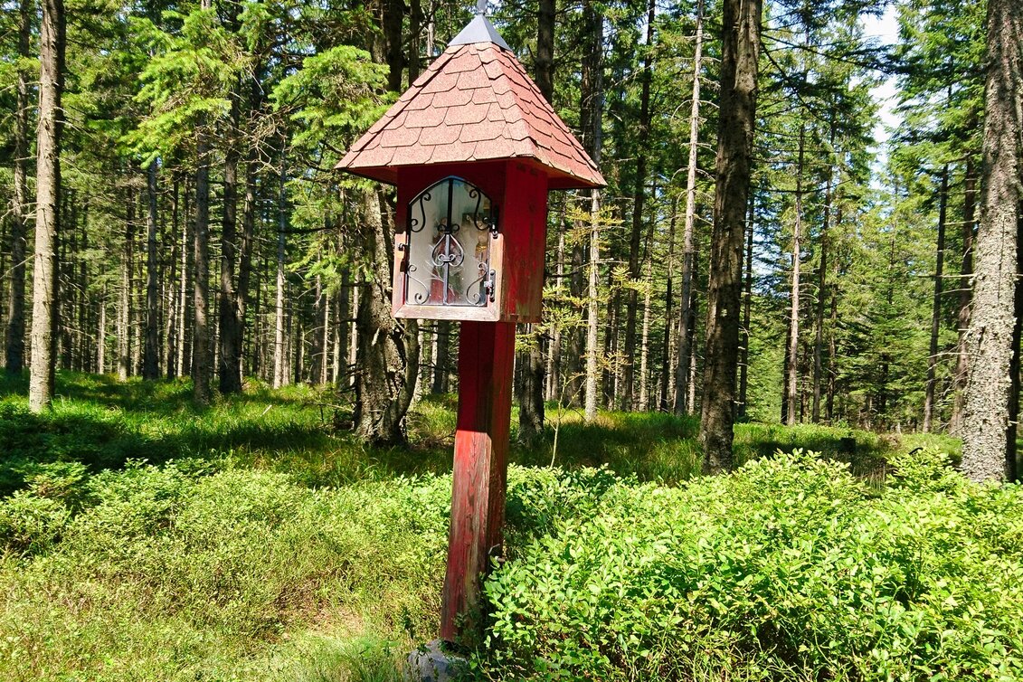 Hiking route Alpl round, St. Kathrein am Hauenstein - Touren-Impression #1 | © WEGES