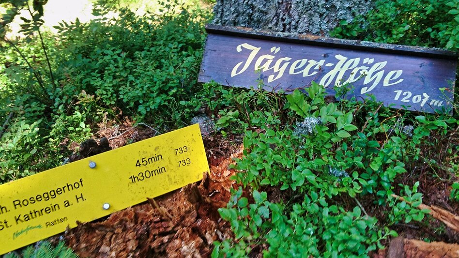 Hiking route Alpl round, St. Kathrein am Hauenstein - Touren-Impression #2.3 | © WEGES