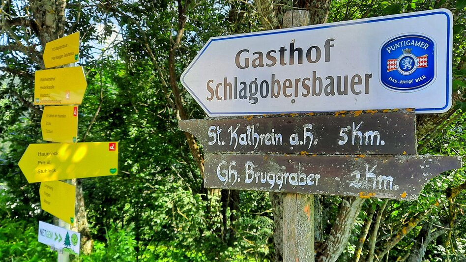 Hiking route Alpl round, St. Kathrein am Hauenstein - Touren-Impression #2.6 | © WEGES