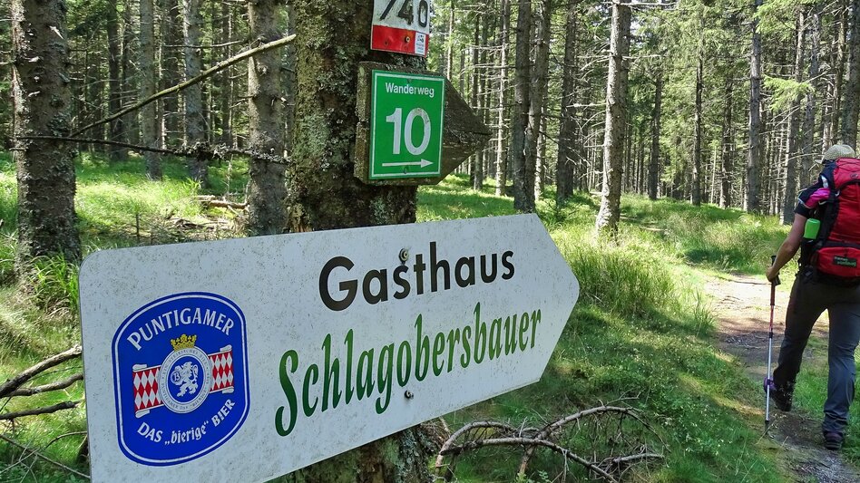 Hiking route Alpl round, St. Kathrein am Hauenstein - Touren-Impression #2.7 | © WEGES