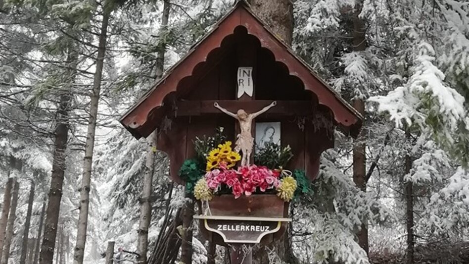 Wanderung Herrnalm-Runde, Fischbach - Touren-Impression #2.4 | © Erika Schöngrundner