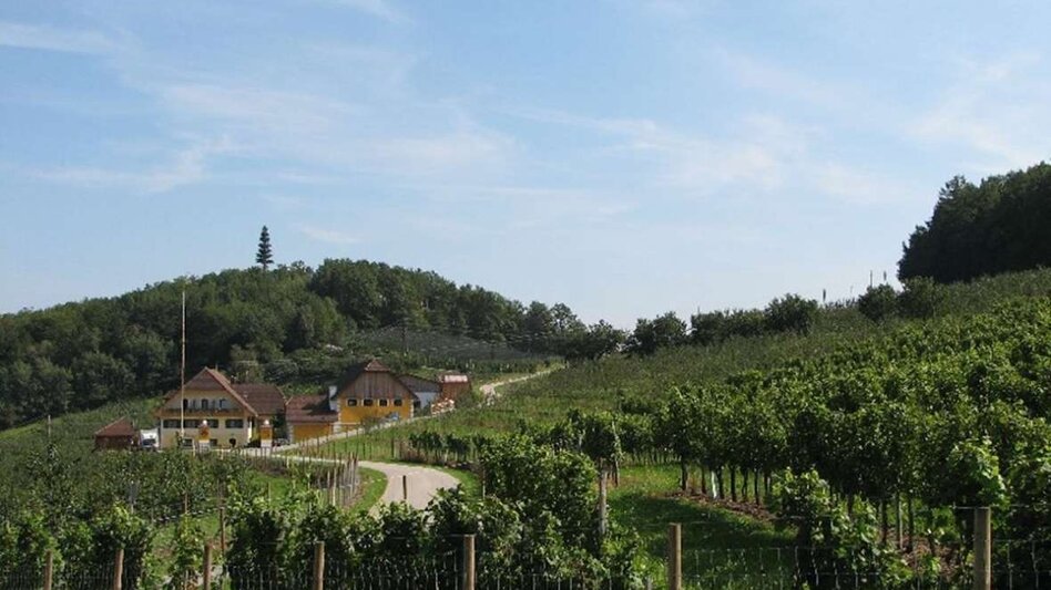 Theme path Schnapps educational trail, Stubenberg - Touren-Impression #2.1 | © Oststeiermark Tourismus