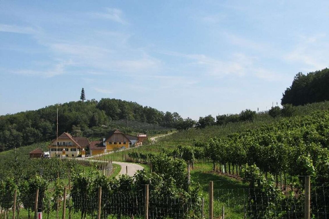 Theme path Schnapps educational trail, Stubenberg - Touren-Impression #1 | © Oststeiermark Tourismus