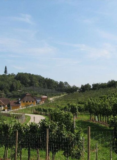 Hödl Hof Obstgarten in Stubenberg, Oststeiermark | © Oststeiermark Tourismus | Familie Hödl | © Oststeiermark Tourismus