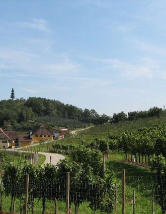 Hödl Hof Orchard in Stubenberg, Eastern Styria | Familie Hödl | © Oststeiermark Tourismus