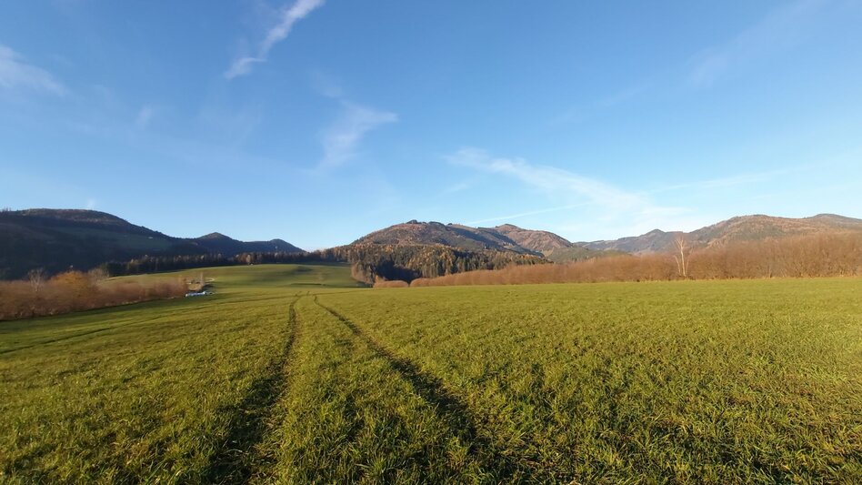 Jogging Buchkogel-Halbmarathon, Passail - Touren-Impression #2.7 | © Oststeiermark Tourismus