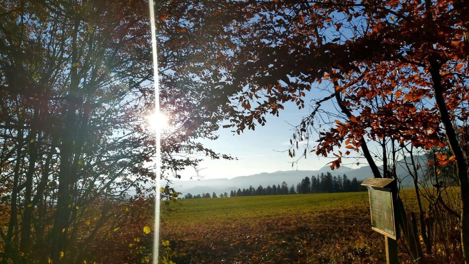 Jogging Buchkogel-Halbmarathon, Passail - Touren-Impression #2.5 | © Oststeiermark Tourismus