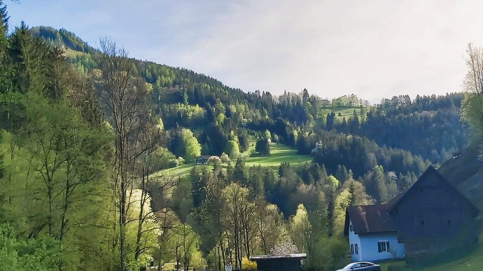 Jogging Griasboch-Runde, Passail - Touren-Impression #2.2 | © Oststeiermark Tourismus