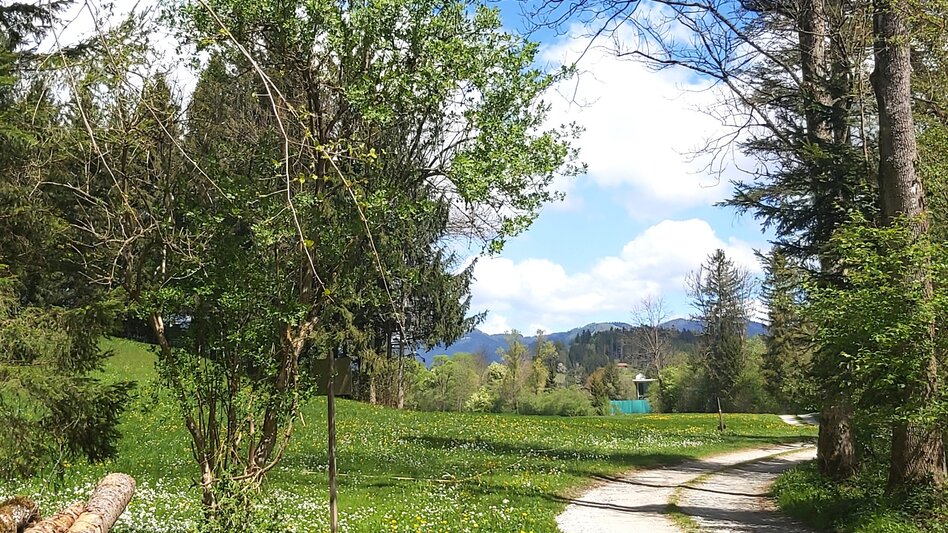 Jogging Griasboch-Runde, Passail - Touren-Impression #2.7 | © Oststeiermark Tourismus