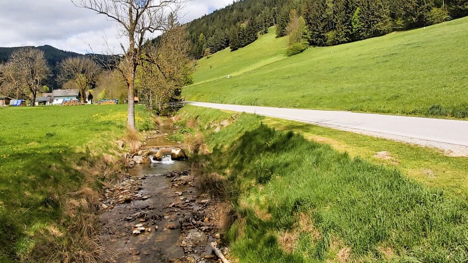 Jogging Elmer-Halbmarathon, Passail - Touren-Impression #2.5 | © Oststeiermark Tourismus