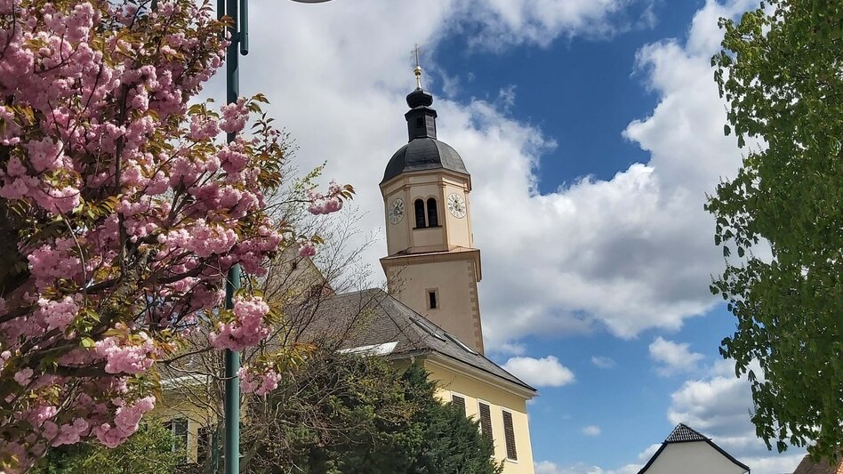 Jogging Elmer-Halbmarathon, Passail - Touren-Impression #2.7 | © Oststeiermark Tourismus