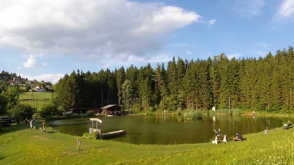 Jogging Elmer-Halbmarathon, Passail - Touren-Impression #2.14 | © Oststeiermark Tourismus