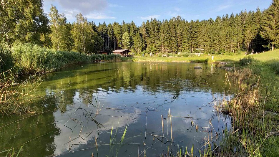 Jogging Ochsenhalt-Klassiker, Passail - Touren-Impression #2.2 | © Oststeiermark Tourismus