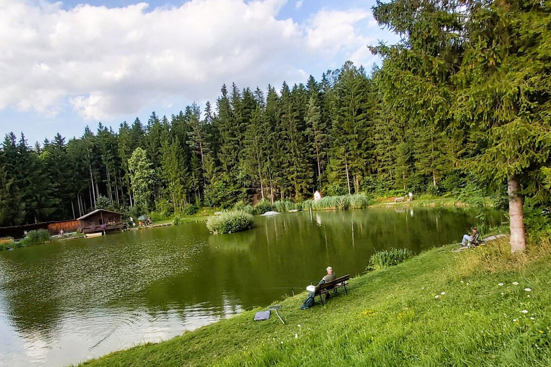 Jogging Ochsenhalt-Klassiker, Passail - Touren-Impression #1 | © Oststeiermark Tourismus