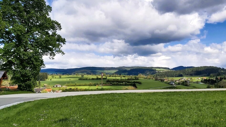 Jogging Ochsenhalt-Klassiker, Passail - Touren-Impression #2.8 | © Oststeiermark Tourismus