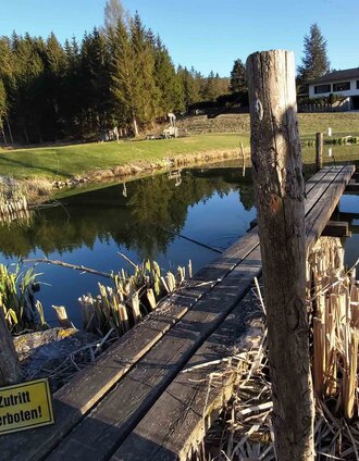 Fischteich Passail im Naturpark Almenland, Oststeiermark | Christine Pollhammer | © Oststeiermark Tourismus